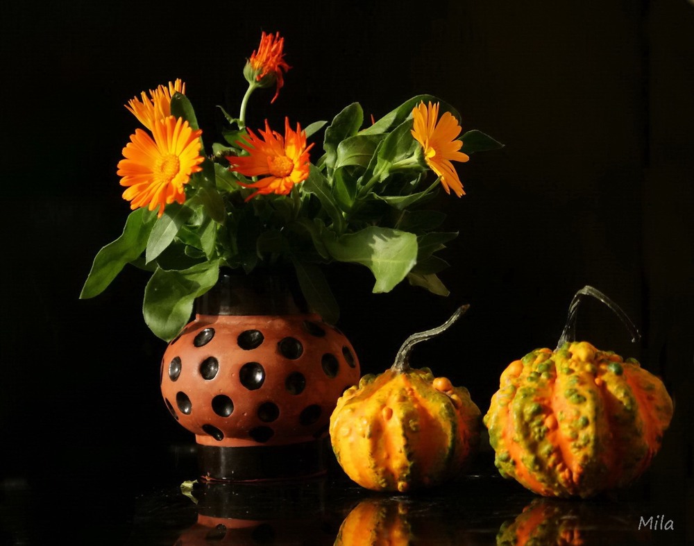 Фотографія Дарунки жовтня / Людмила Джур / photographers.ua