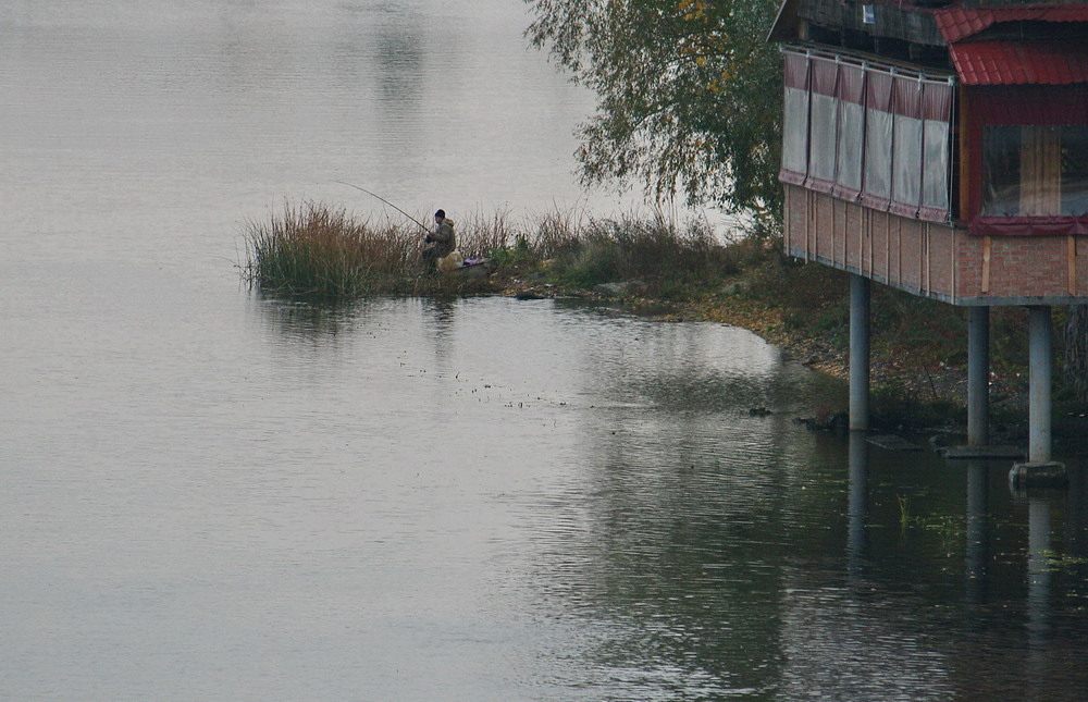 Фотографія Тихе полювання / Людмила Джур / photographers.ua