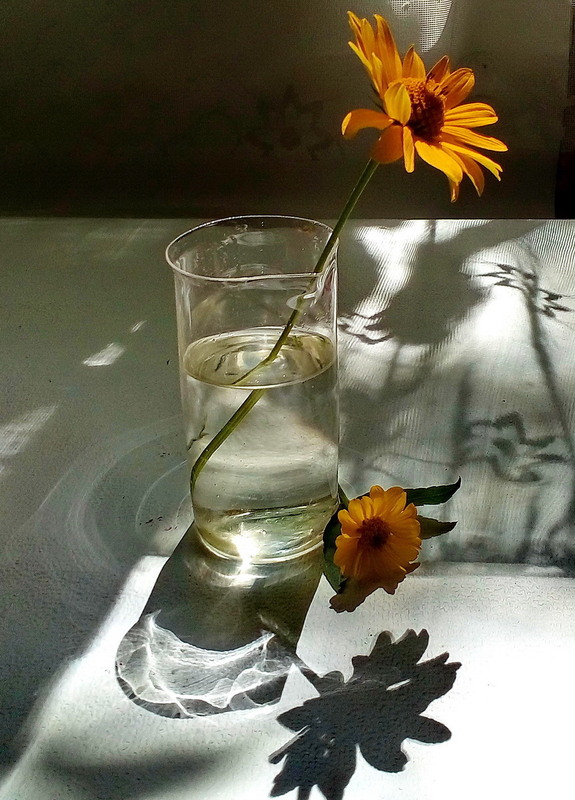 Фотографія Там, де народжуються тіні / Людмила Джур / photographers.ua