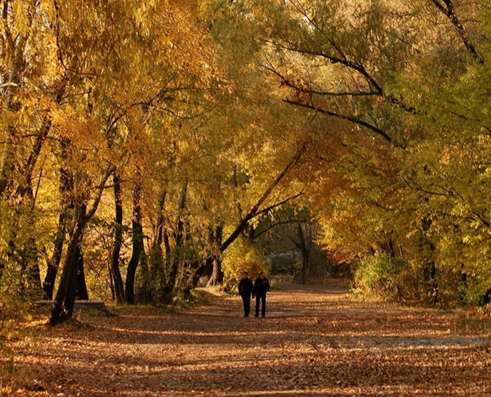 Фотографія А в Києві осінь... / Людмила Джур / photographers.ua