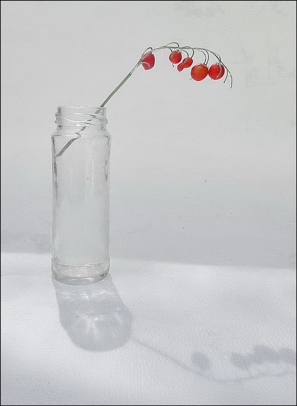 Фотографія Краплі осені. Мінімалізм. / Людмила Джур / photographers.ua