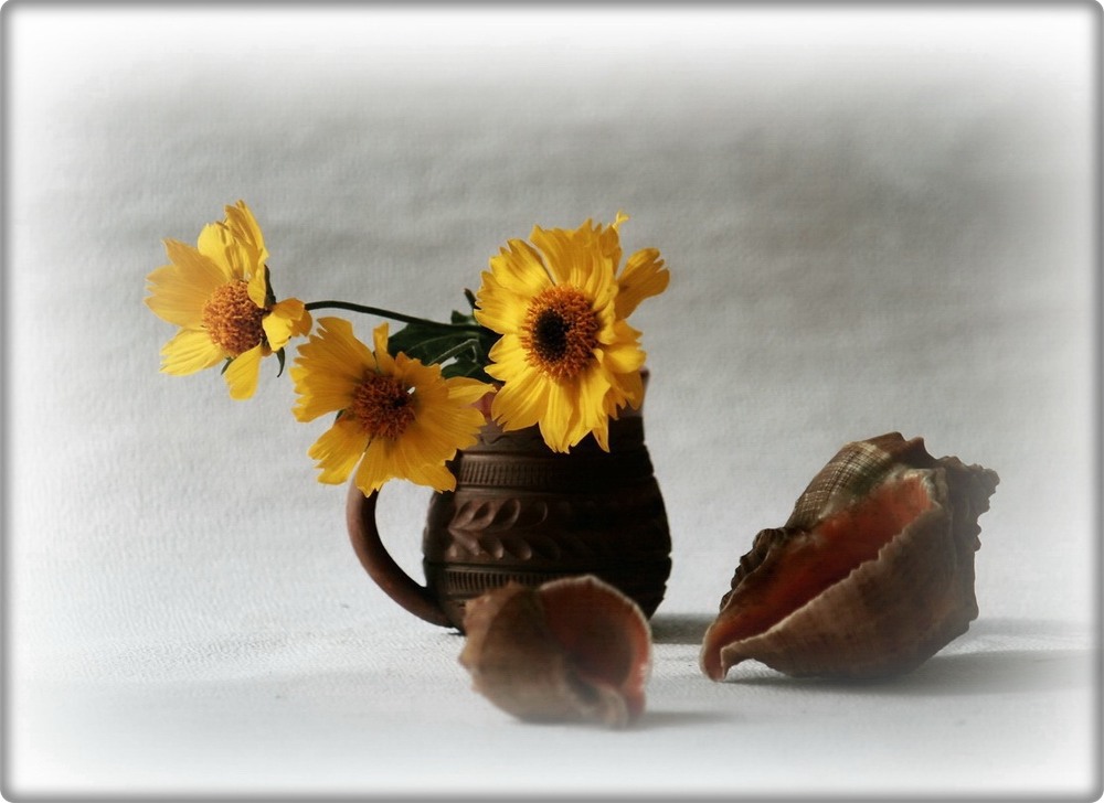 Фотографія Шепіт моря / Людмила Джур / photographers.ua