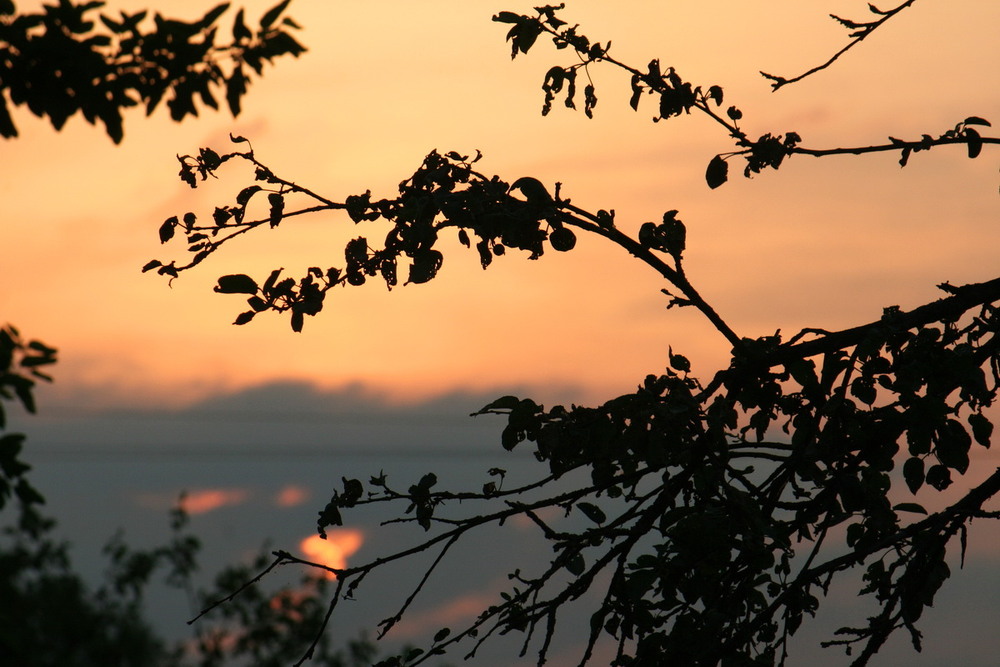 Фотографія Тихий день догора... / Людмила Джур / photographers.ua