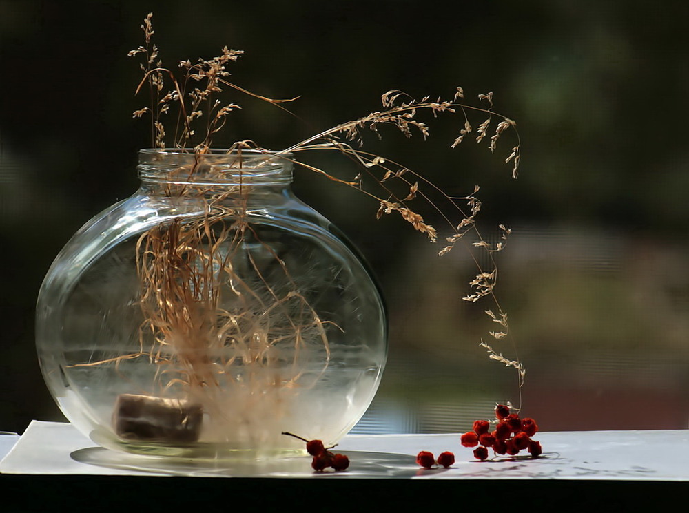 Фотографія В'язь осінніх думок / Людмила Джур / photographers.ua