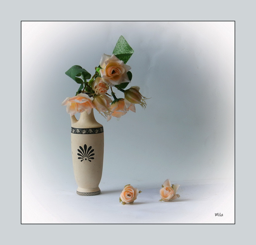 Фотографія Ніжність у півтонах / Людмила Джур / photographers.ua