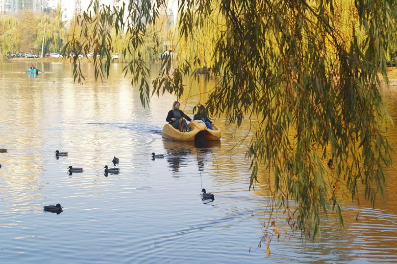 Фотографія Осіння ідиллія / Людмила Джур / photographers.ua