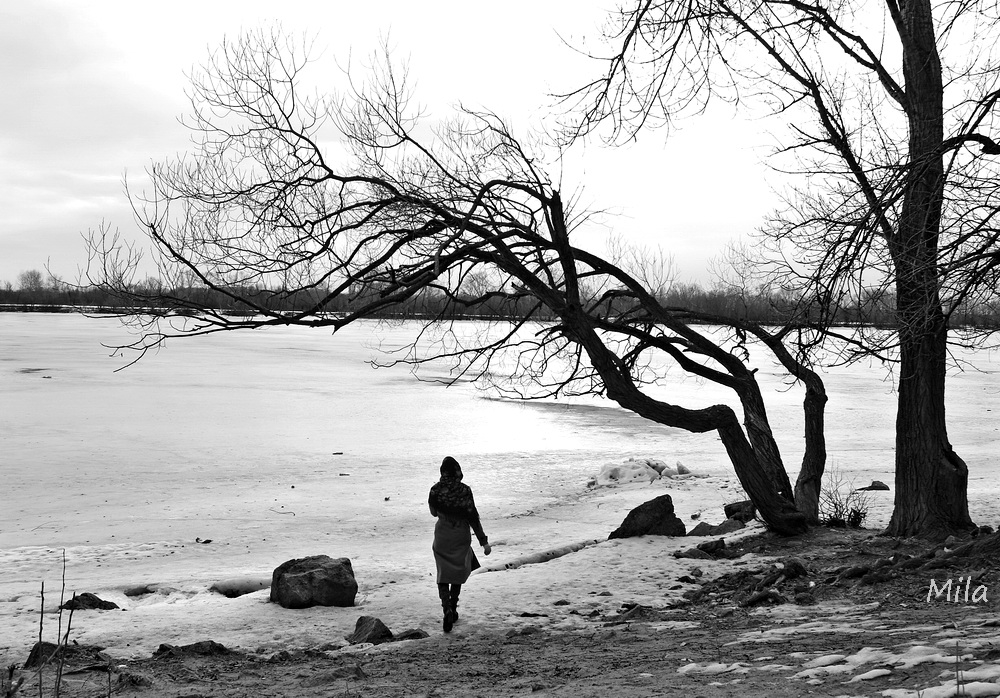 Фотографія Берег спогадів / Людмила Джур / photographers.ua