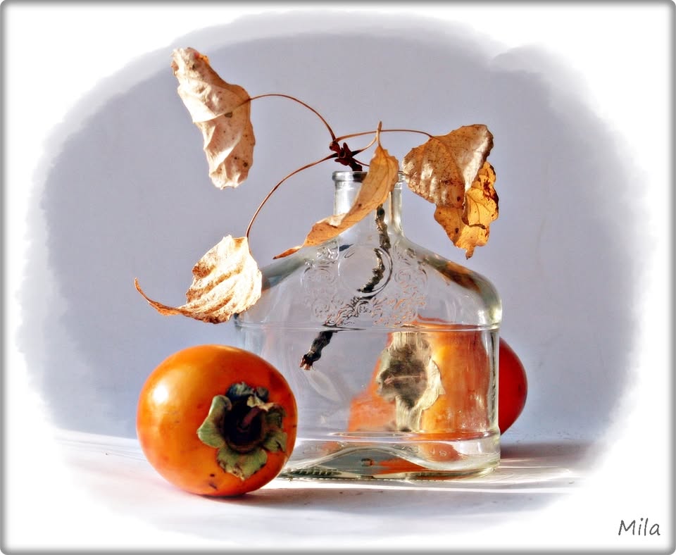 Фотографія Осінній вальс / Людмила Джур / photographers.ua