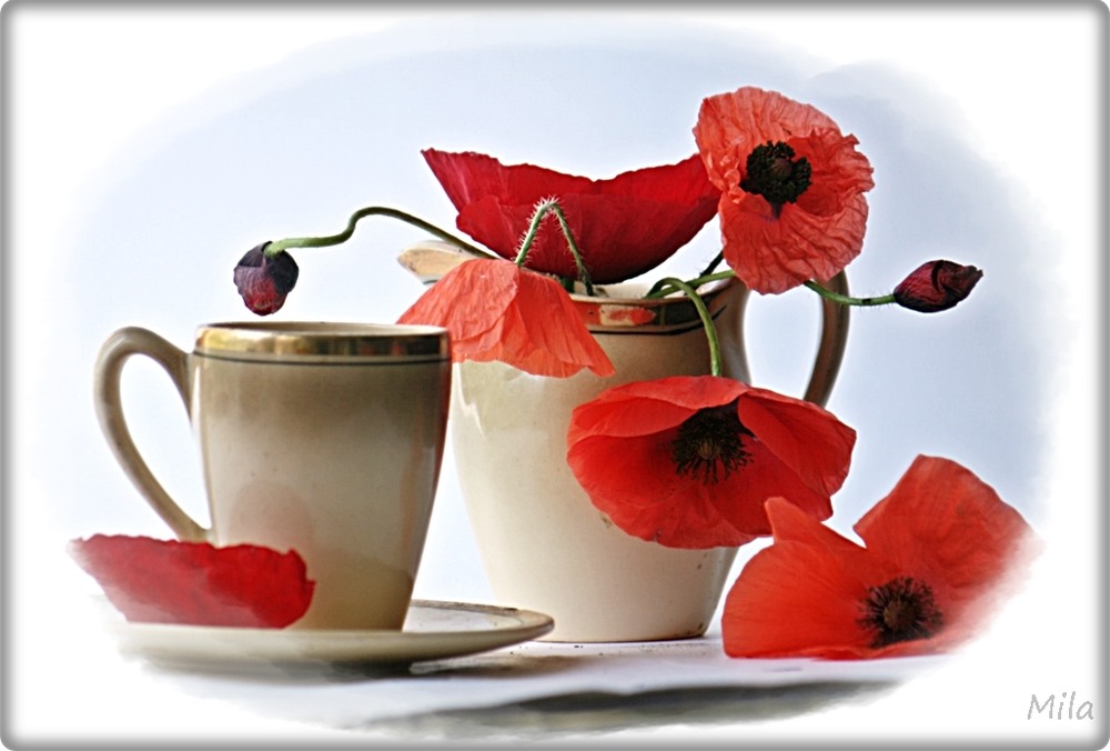 Фотографія Теплий подих романтики / Людмила Джур / photographers.ua