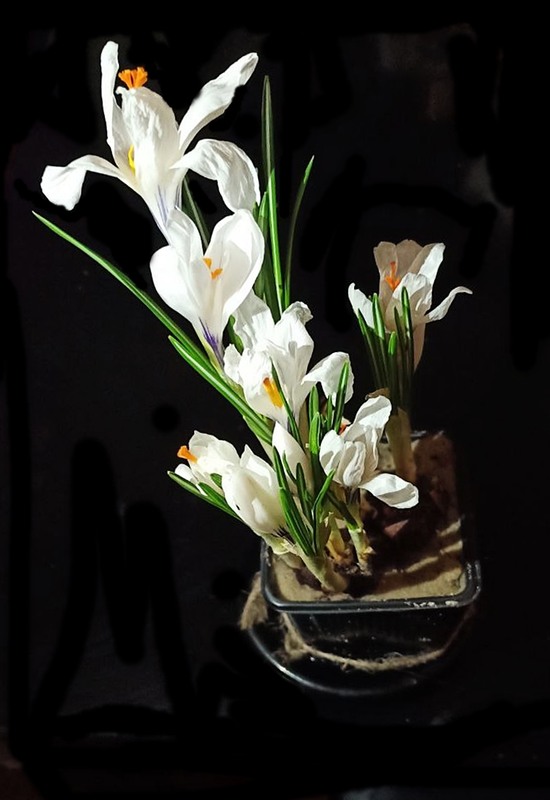 Фотографія Весняний натюрморт / Людмила Джур / photographers.ua