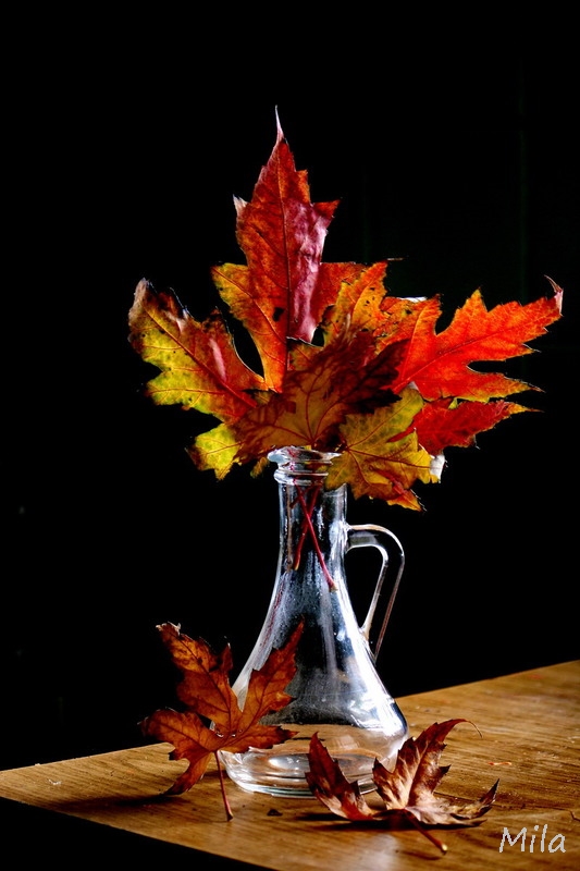 Фотографія Полум'я осені / Людмила Джур / photographers.ua