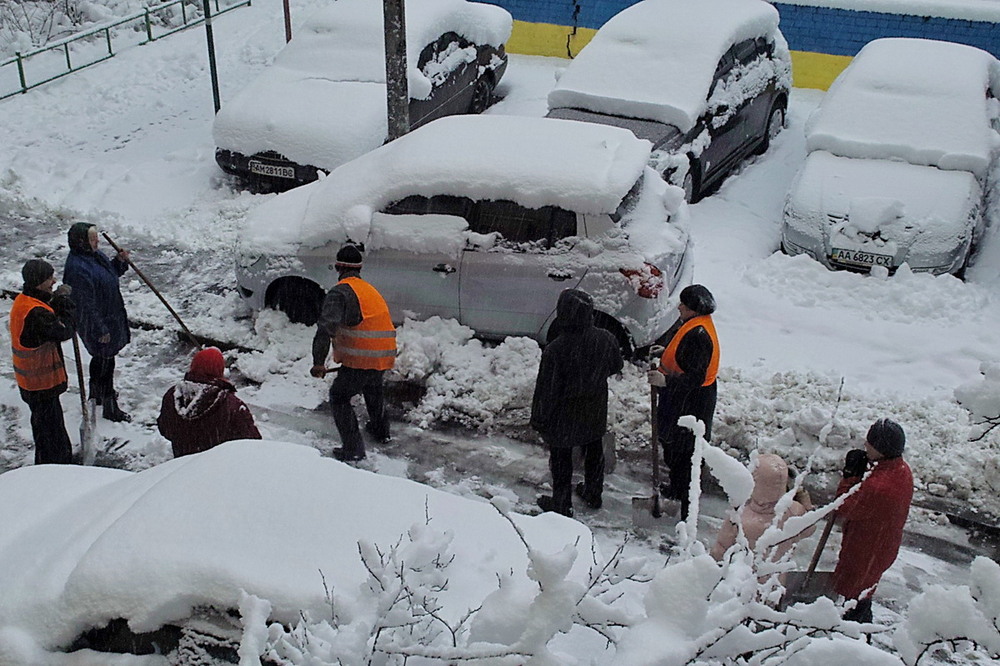 Фотографія Картинка з мого вікна / Людмила Джур / photographers.ua