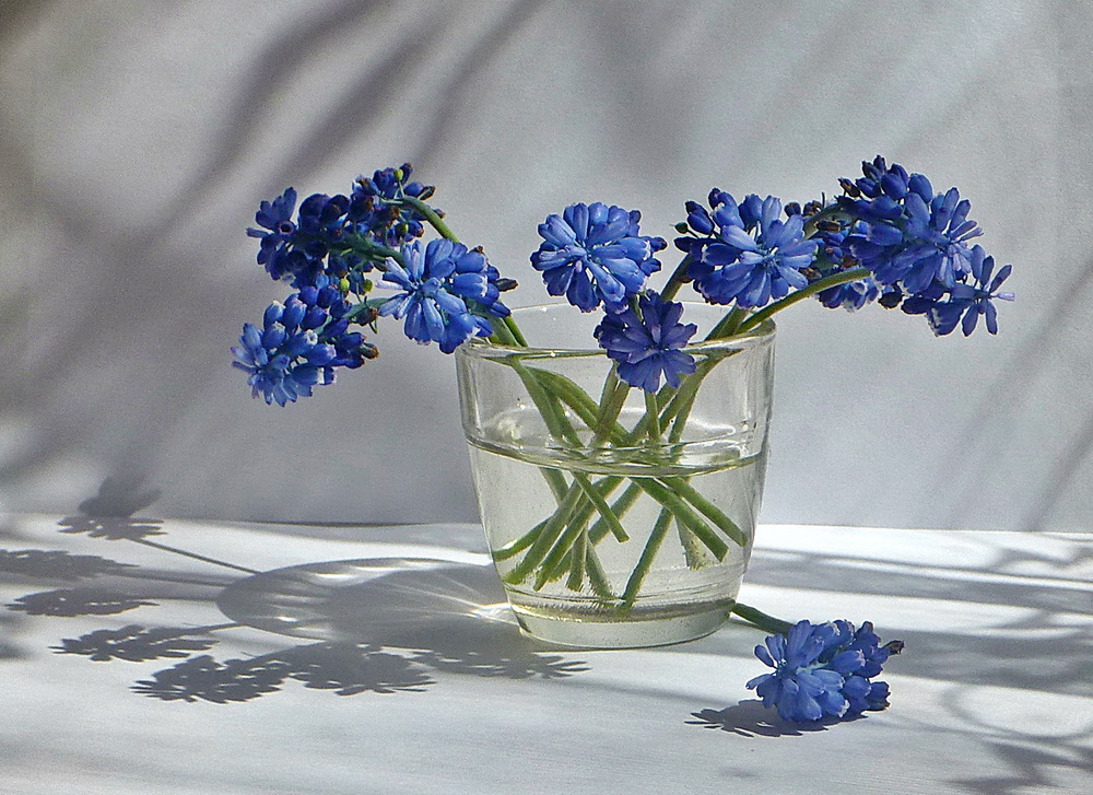 Фотографія Малює сонце / Людмила Джур / photographers.ua