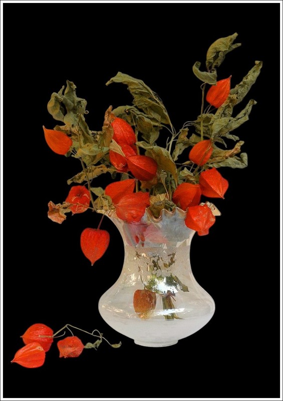 Фотографія Теплий погляд на червоне / Людмила Джур / photographers.ua