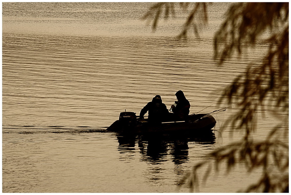 Фотографія Вечірній кльов / Людмила Джур / photographers.ua