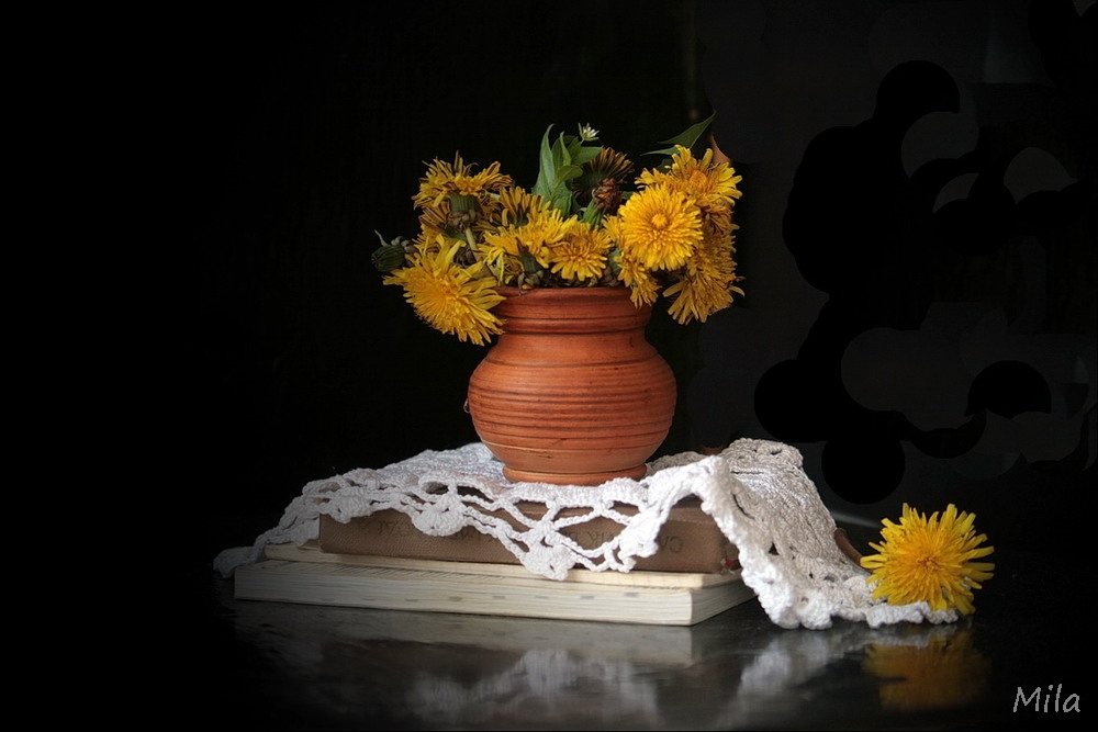 Фотографія Світло, що обіймає / Людмила Джур / photographers.ua