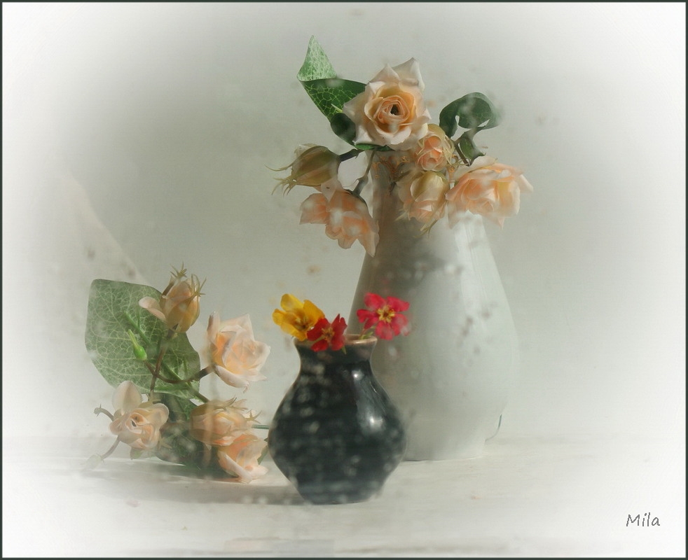 Фотографія Ранковий туман / Людмила Джур / photographers.ua