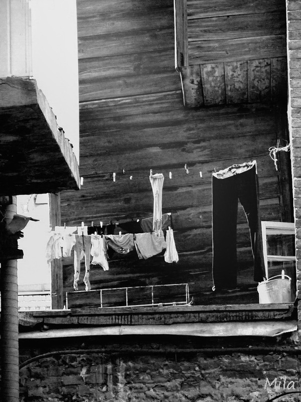 Фотографія Де ві сохнітє більйо? / Людмила Джур / photographers.ua