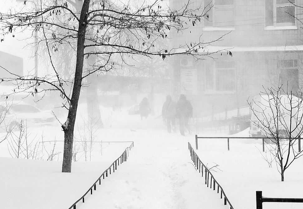 Фотографія Утро 23 марта. Когда весна придёт... не знаю... / Людмила Джур / photographers.ua