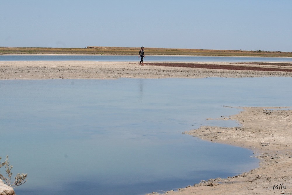 Фотографія Сіваш / Людмила Джур / photographers.ua