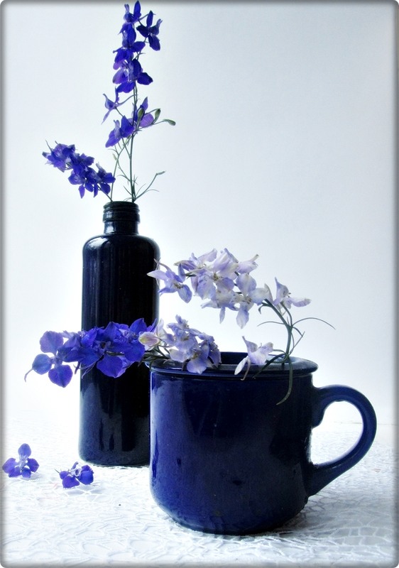 Фотографія Колір настрою - синій... / Людмила Джур / photographers.ua