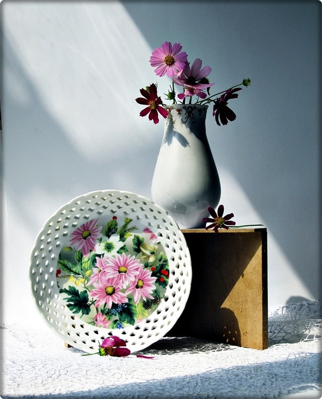 Фотографія Етюд з космеєю / Людмила Джур / photographers.ua