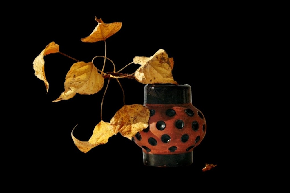 Фотографія Осінній вальс / Людмила Джур / photographers.ua