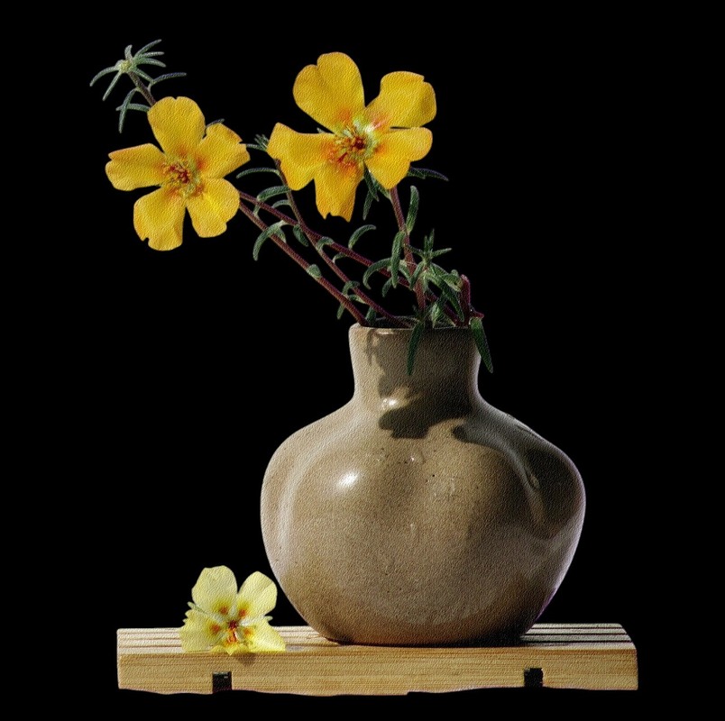 Фотографія Мінімалізм / Людмила Джур / photographers.ua