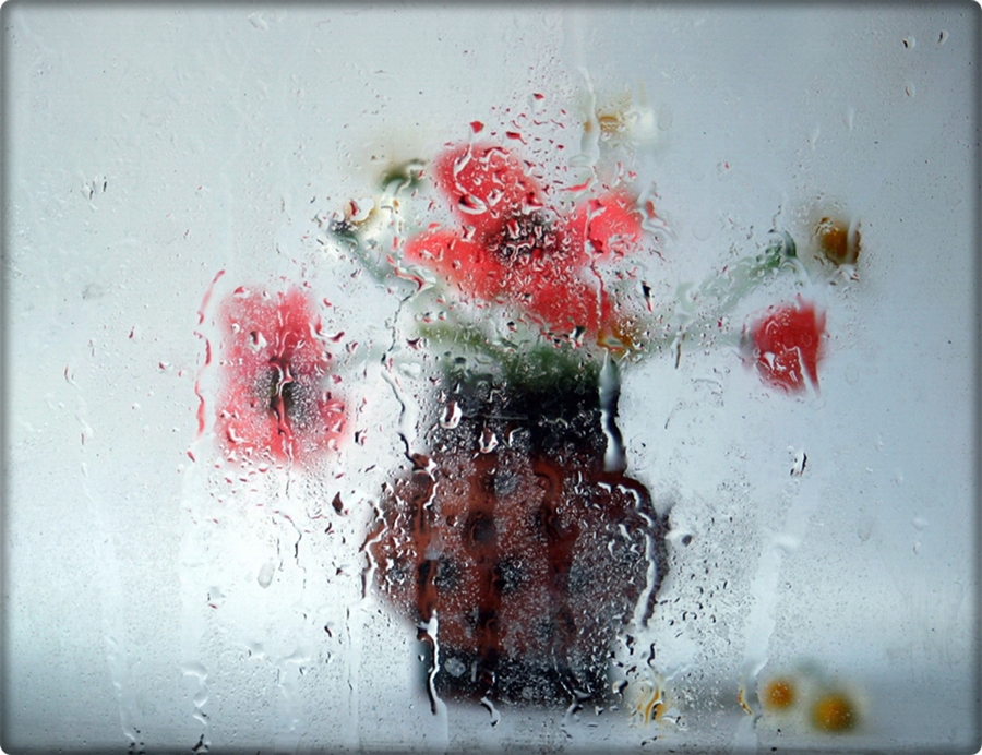 Фотографія Розмиті спогади / Людмила Джур / photographers.ua