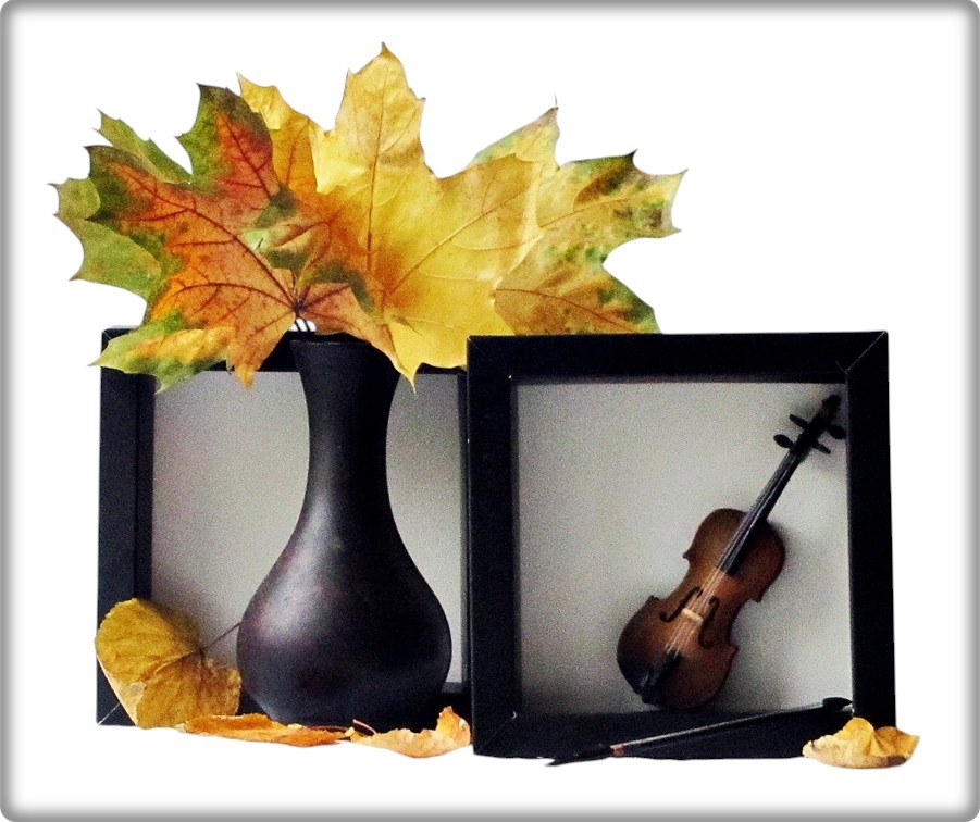 Фотографія Музика барв / Людмила Джур / photographers.ua