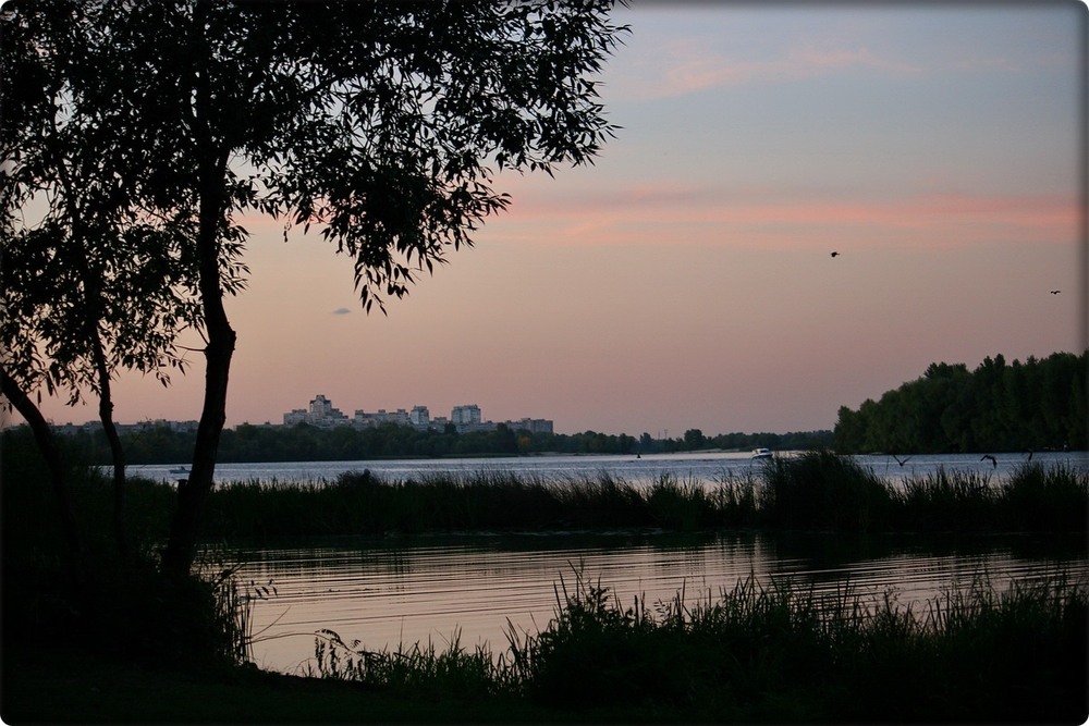 Фотографія Рожевий вечір / Людмила Джур / photographers.ua