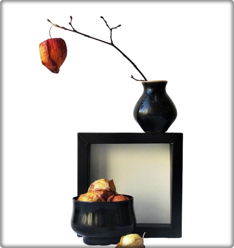 Фотографія Чорна класика. Мінімалізм. / Людмила Джур / photographers.ua