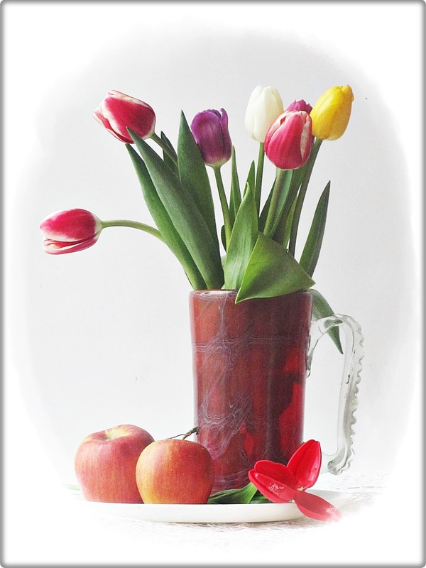 Фотографія Сезон тюльпанів / Людмила Джур / photographers.ua