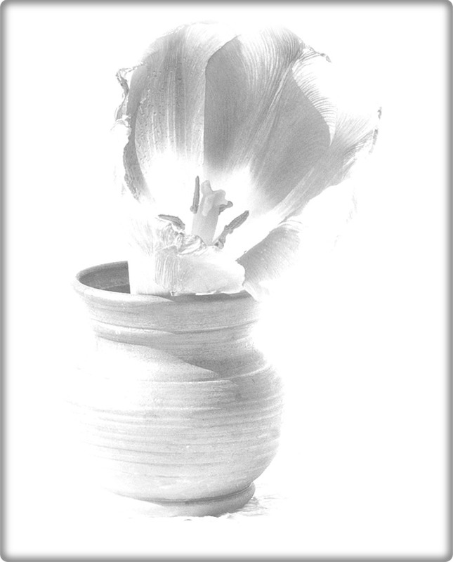 Фотографія Весна, захмарена війною... / Людмила Джур / photographers.ua