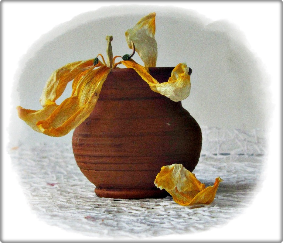 Фотографія І навіть в'янення - це краса... / Людмила Джур / photographers.ua