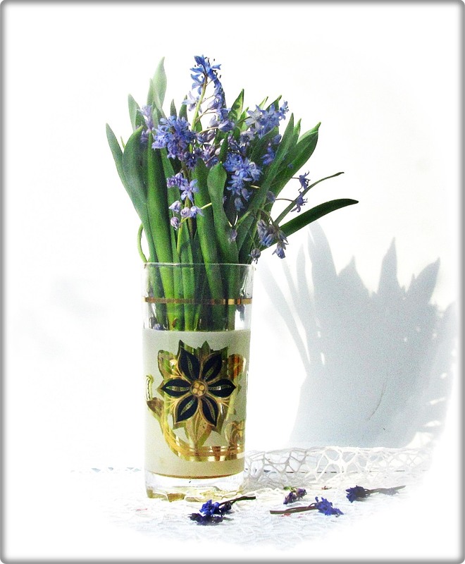 Фотографія Трохи весни / Людмила Джур / photographers.ua