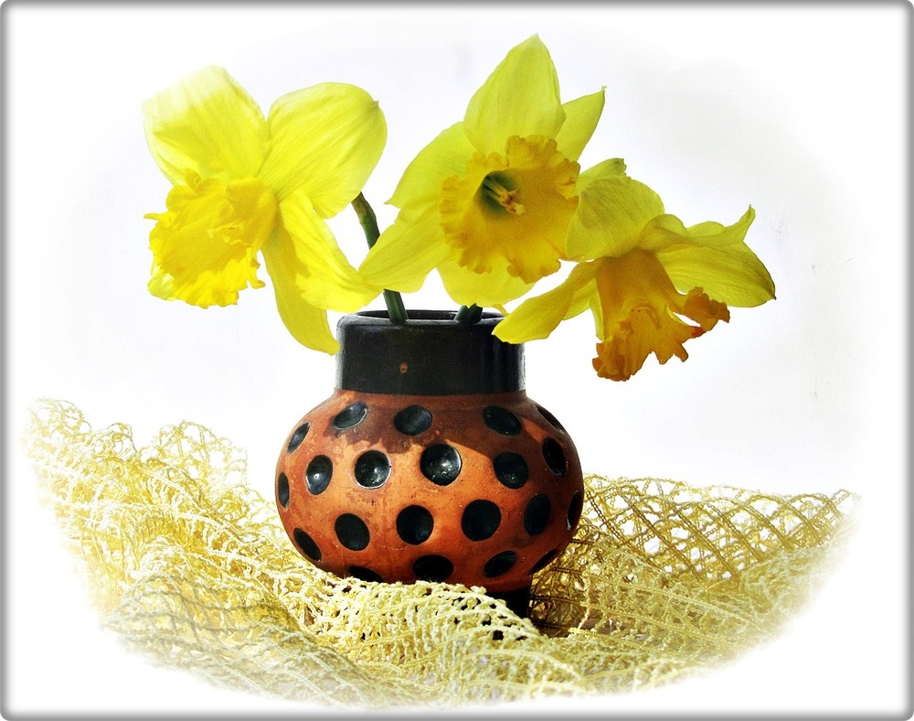 Фотографія Сонячний дотик / Людмила Джур / photographers.ua