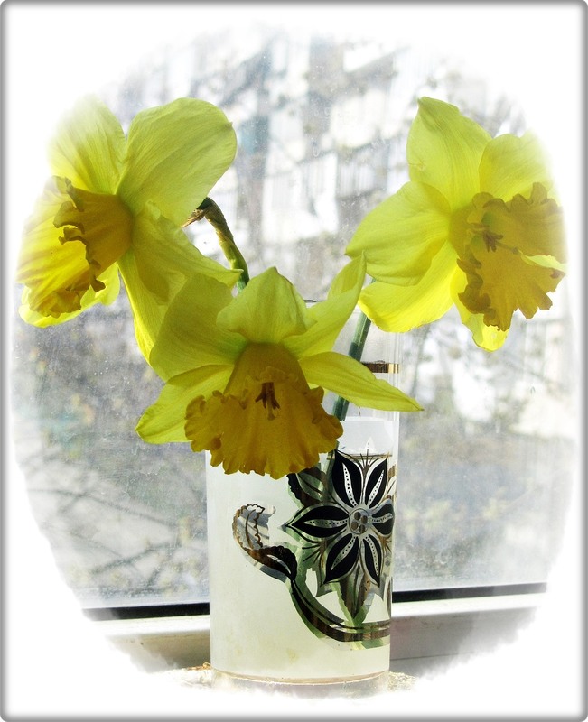 Фотографія Сонячний драйв / Людмила Джур / photographers.ua