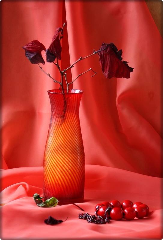 Фотографія Густий смак пристрасті / Людмила Джур / photographers.ua