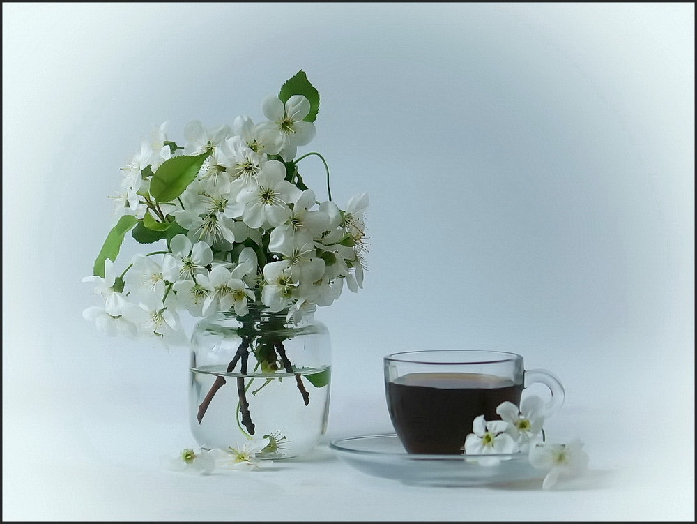 Фотографія Коли була весна / Людмила Джур / photographers.ua