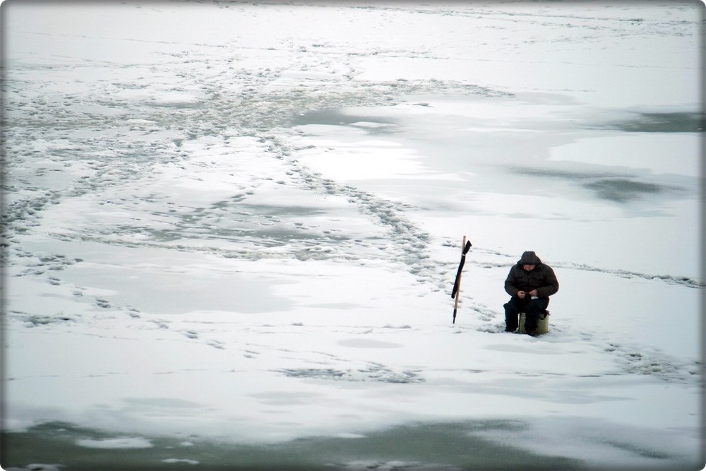 Фотографія Останній з могікан. Мінімалізм. / Людмила Джур / photographers.ua