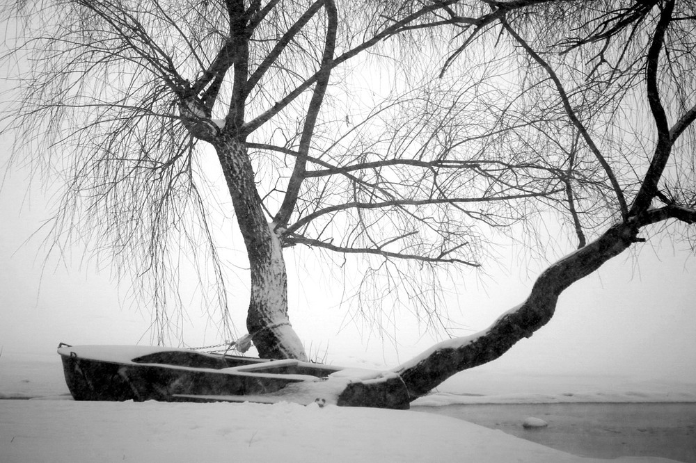 Фотографія Зимова історія без слів / Людмила Джур / photographers.ua