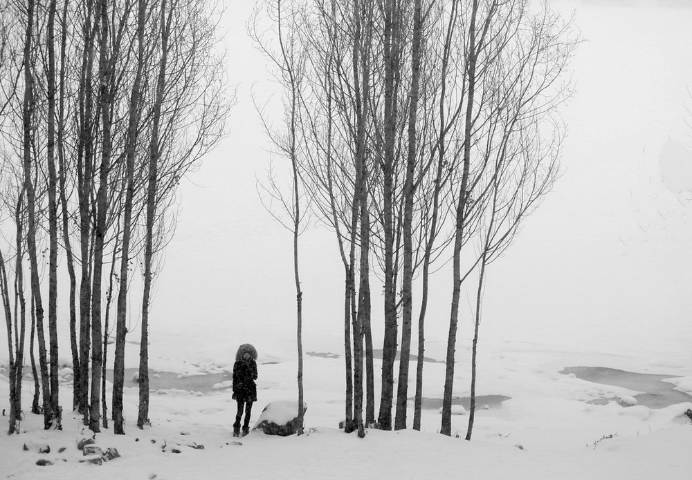 Фотографія Чекання / Людмила Джур / photographers.ua