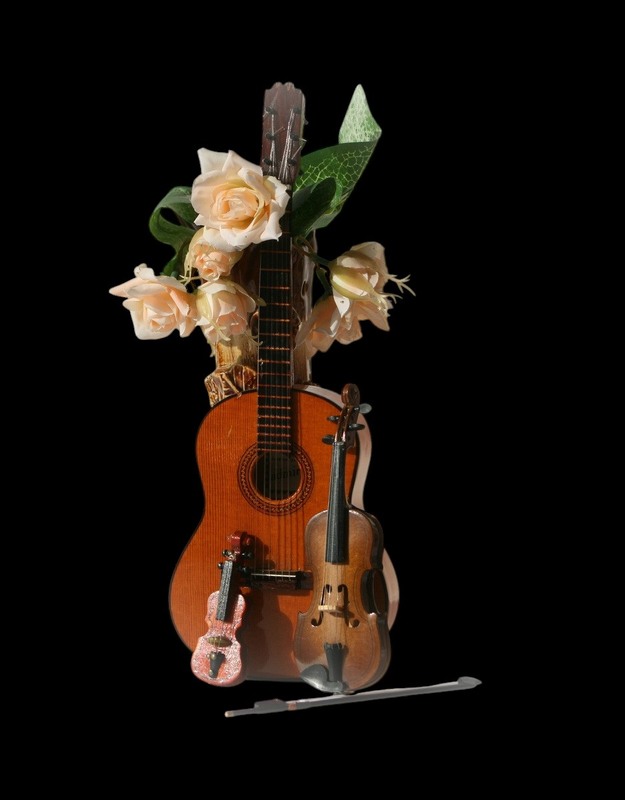 Фотографія Звуки музики. Мінімалізм. / Людмила Джур / photographers.ua