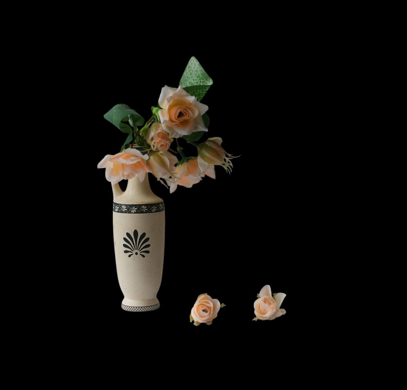 Фотографія Етюд з рожевими квітками / Людмила Джур / photographers.ua