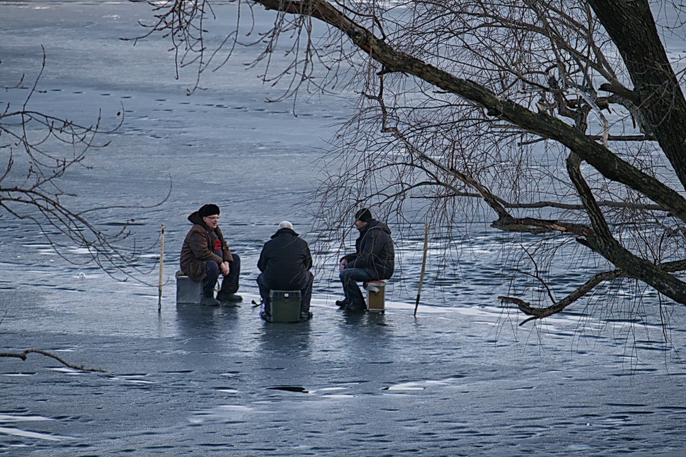 Фотографія На трьох... / Людмила Джур / photographers.ua