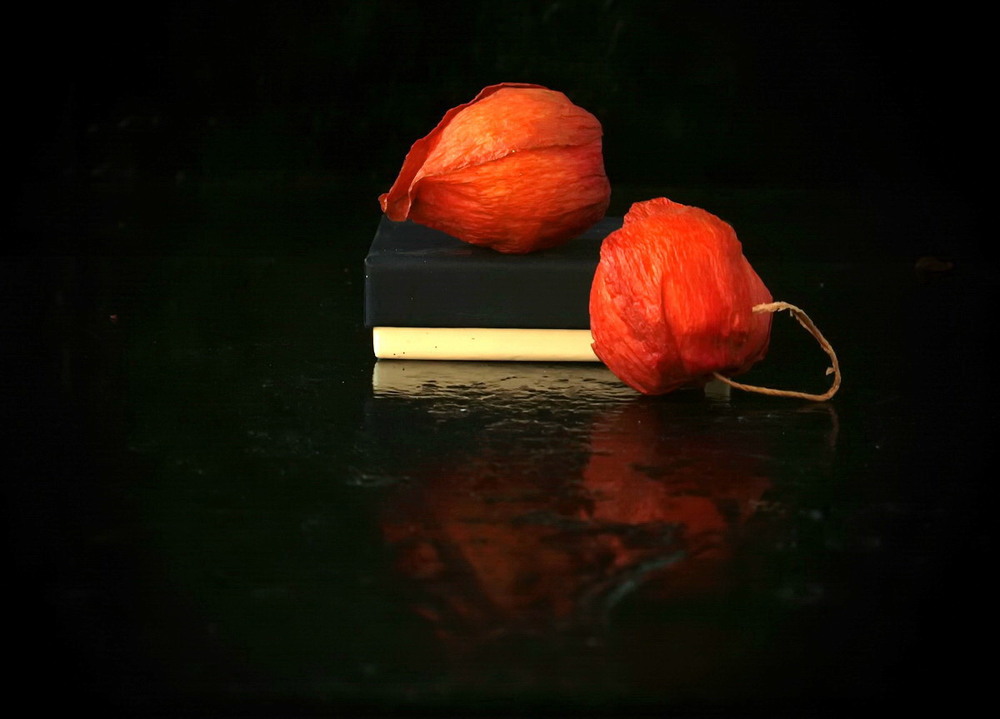 Фотографія Діалог світла і темряви / Людмила Джур / photographers.ua