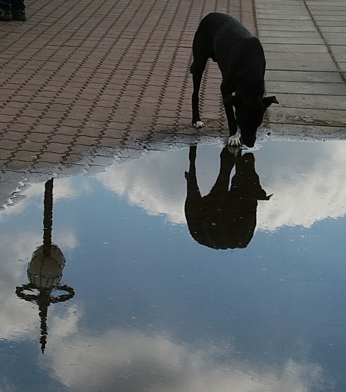 Фотографія Ковток неба / Людмила Джур / photographers.ua