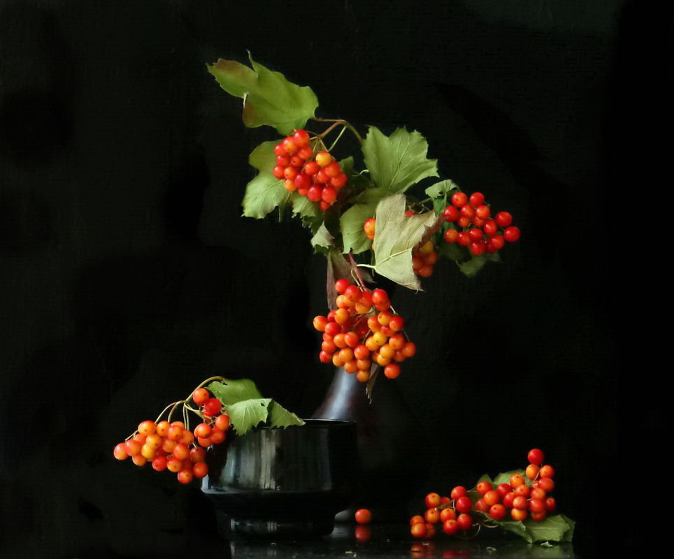 Фотографія Горобинові таємниці / Людмила Джур / photographers.ua