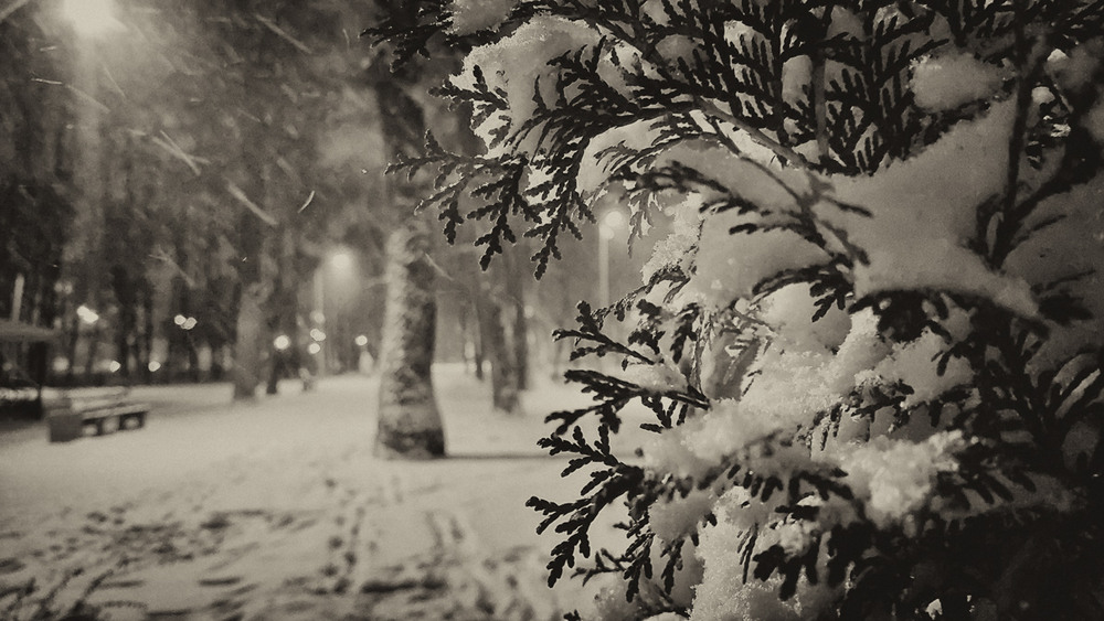 Фотографія намалюю зиму... / photolapa / photographers.ua
